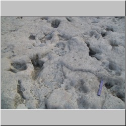 100_0404 (2009-26-07).JPG